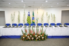 festa (3)